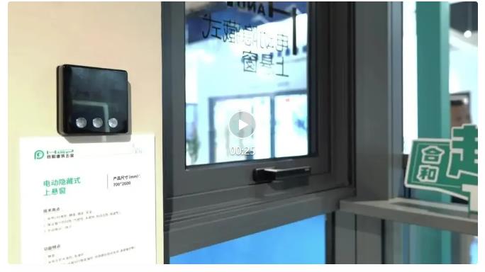 elevalunas electrico (2)